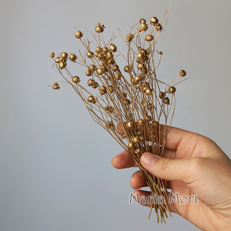 5g Preserved Flax Bean Natural - Candle Making Activity recension och pris
