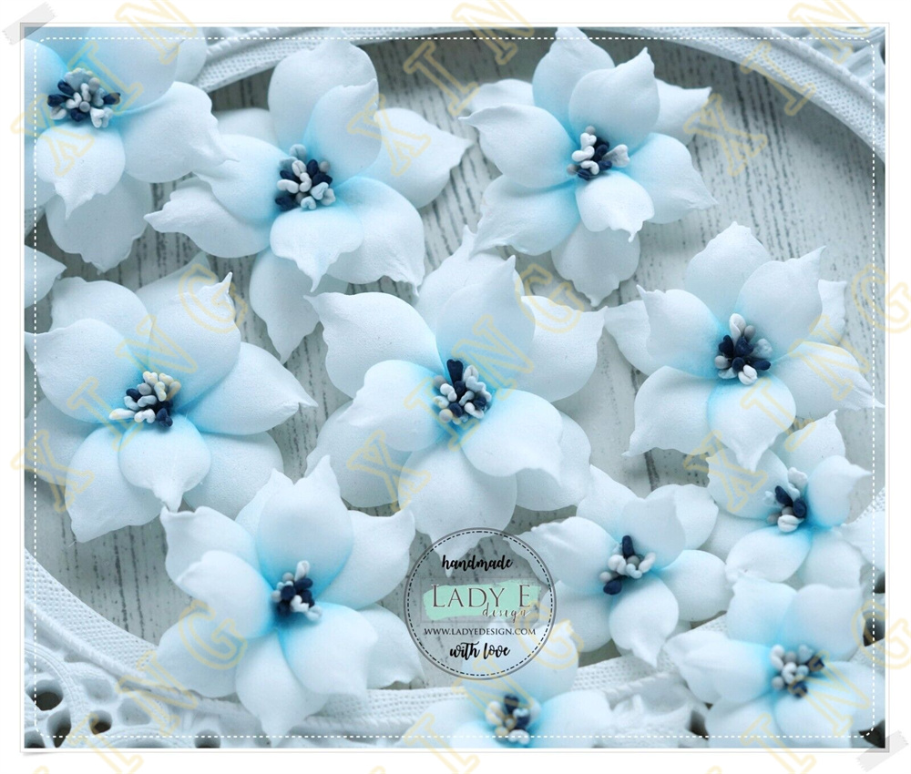 New Tags Cake Leaves Swirls Me - Candle Making Guide recension och pris